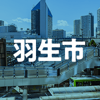 羽生市で借りれる不動産担保ローン