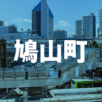 比企郡鳩山町で借りれる不動産担保ローン