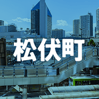 北葛飾郡松伏町で借りれる不動産担保ローン