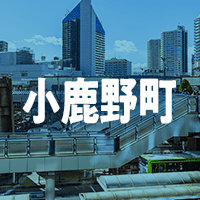 秩父郡小鹿野町で借りれる不動産担保ローン